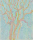 JdB-Natuur-Bomen-04p