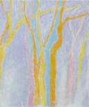 JdB-Natuur-Bomen-05p