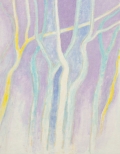 JdB-Natuur-Bomen-16p