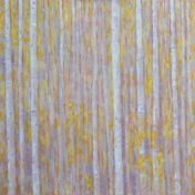 JdB-Natuur-Bomen-03-80x80p