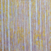 JdB-Natuur-Bomen-03-80x80p